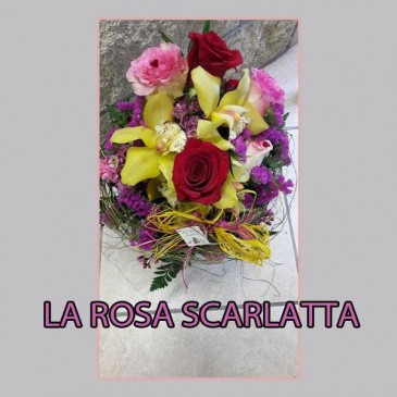 LA ROSA SCARLATTA DI CIPRIANO MARILENA