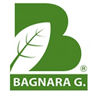 Bagnara Guido S.A.S. di Senelli Loredana